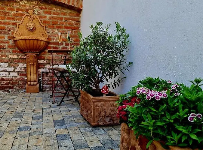 Apartment U Alzbety
